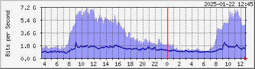 AS17717 --- AS174 Cogent `yq